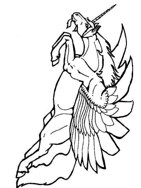 Jednorożec, pegaz kolorowanki